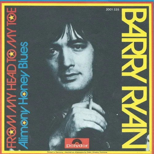Ryan Barry - From my head to my toe (nur Cover)
