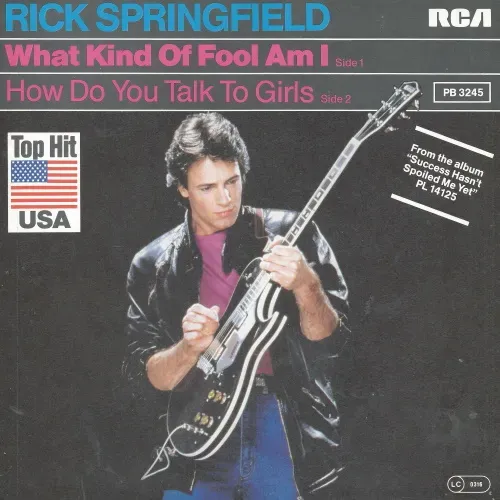 Springfield Rick - What kind of fool am I (nur Cover)