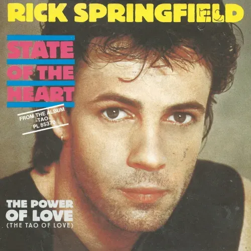 Springfield Rick - State of the heart (nur Cover)