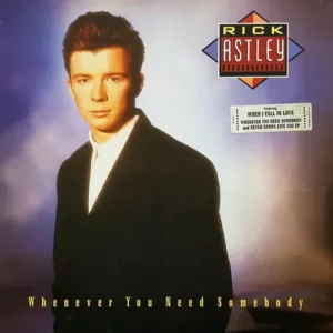 Astley Rick - Whenever you need somebody (LP)