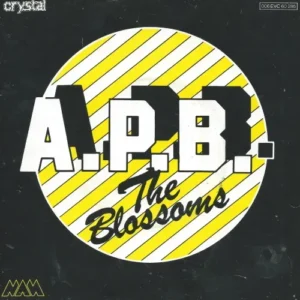 Blossoms - A.P.B. (nur Cover)