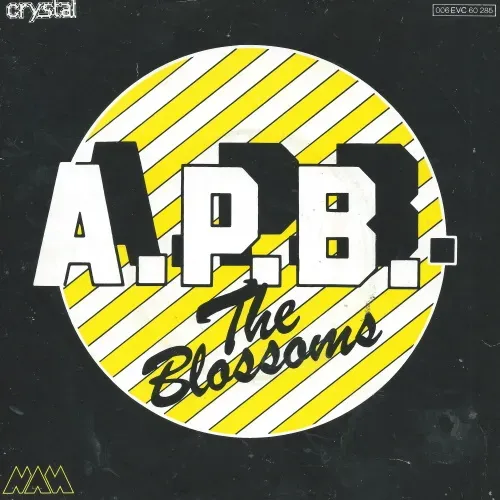 Blossoms - A.P.B. (nur Cover)