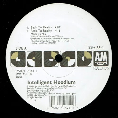Intelligent Hoodlum - Back to reality (Maxi-Single-US)