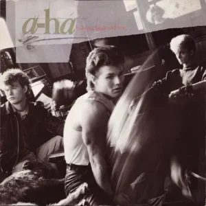 A-HA - Hunting high and low (LP)