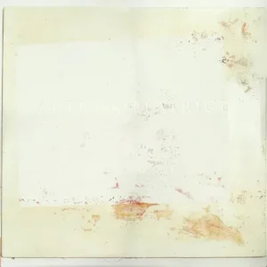 Arthur Beatrice - Working out (LP)