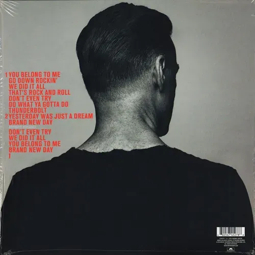 Adams Bryan - Get up (LP) – Bild 2