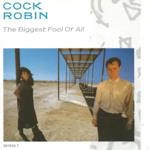 Cock Robin - The biggest fool of all (nur Cover)