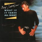 Johnson Don - What if it takes all night (Maxi-Single-NL)