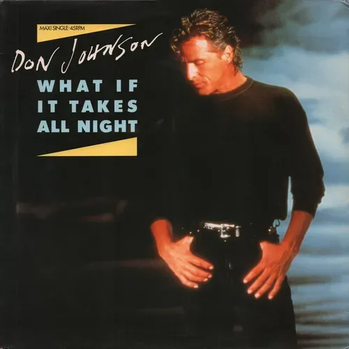 Johnson Don - What if it takes all night (Maxi-Single-NL)