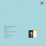 Johnson Don - What if it takes all night (Maxi-Single-NL) – Bild 2