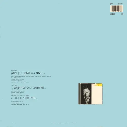 Johnson Don - What if it takes all night (Maxi-Single-NL) – Bild 2
