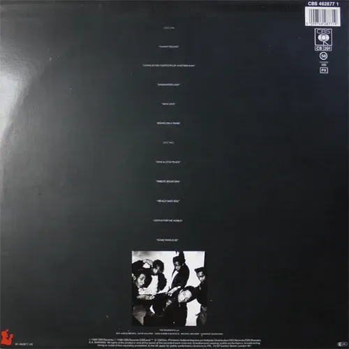 Pasadenas - To whom it may concern (LP-NL) – Bild 2
