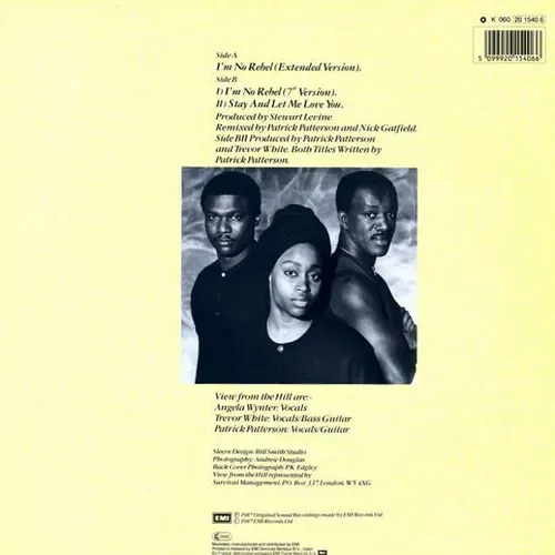 View from the Hill - I'm no rebel (Maxi-Single-NL) – Bild 2