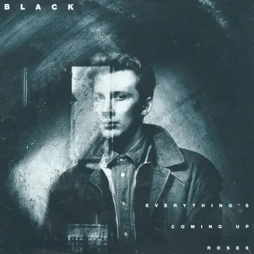 Black - Everything's coming up roses (nur Cover)
