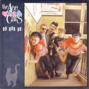 Ace Cats - Du nur du
