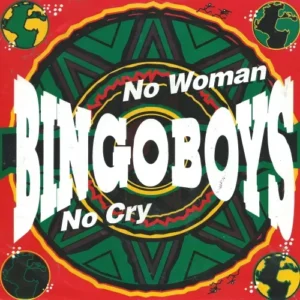 Bingoboys - No woman no cry (nur Cover)