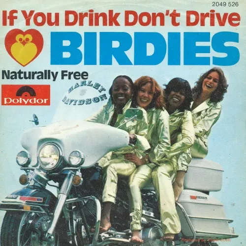 Birdies - If you drink don't drive (nur Cover)