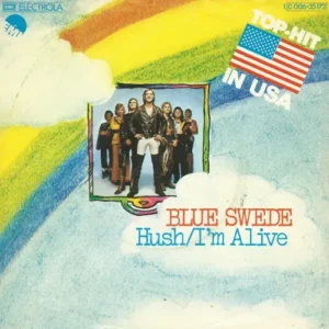 Blue Swede - Hush (nur Cover)