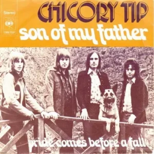 Chicory Tip - Son of my father (nur Cover-NL)