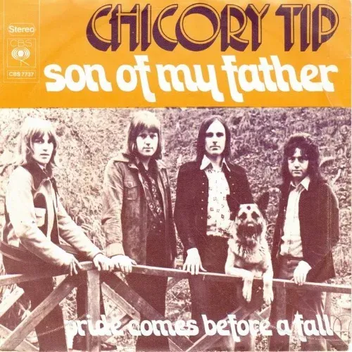 Chicory Tip - Son of my father (nur Cover-NL)