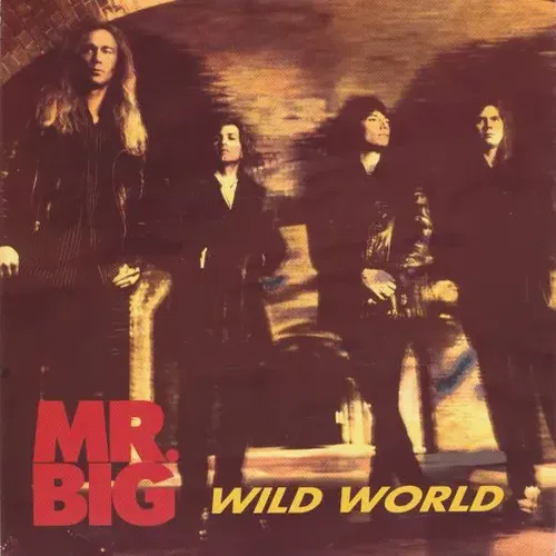 Mr. Big - Wild world (nur Cover)