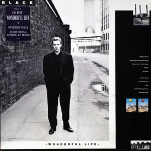 Black - Wonderful life (LP)