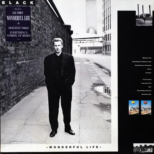 Black - Wonderful life (LP)