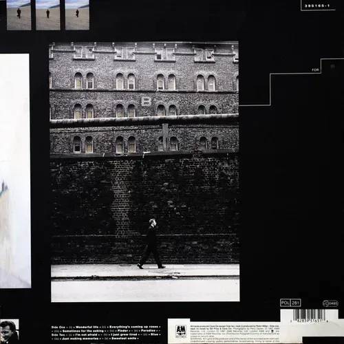 Black - Wonderful life (LP) – Bild 2