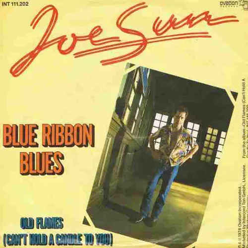 Sun Joe - Blue ribbon blues (nur Cover)