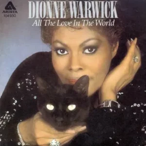 Warwick Dionne - All the love in the world (nur Cover)