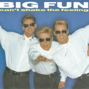 Big Fun - Can't shake the feeling (nur Cover)