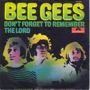Bee Gees - Don't forget to remember (nur Cover)