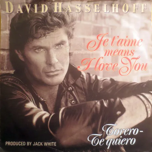 Hasselhoff David - Je t'aime means I love you (nur Cover)