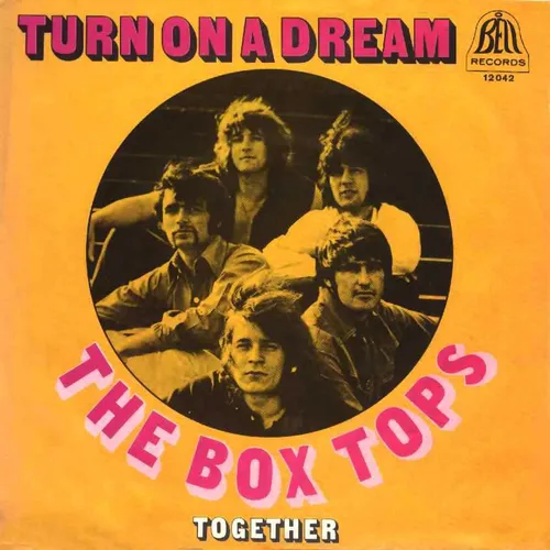 Box Tops - Turn on a dream  (nur Cover)