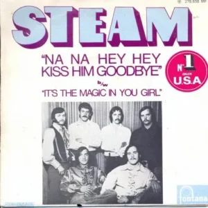Steam - Na na hey hey kiss him goodbye (nur Cover - FR)