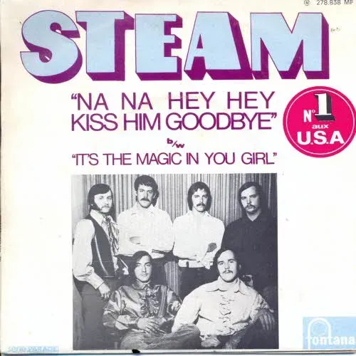 Steam - Na na hey hey kiss him goodbye (nur Cover - FR)