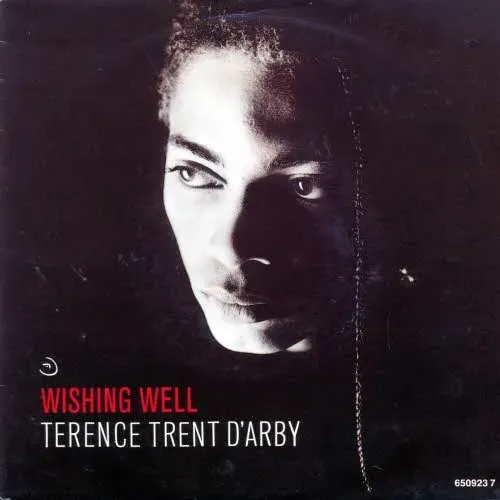 D'Arby Terence Trent - Wishing well (nur Cover - NL)