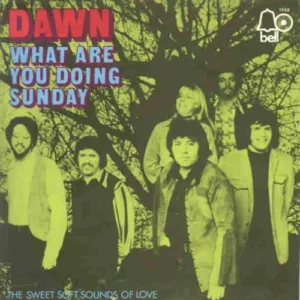Dawn - What are you doing sunday (nur Cover)