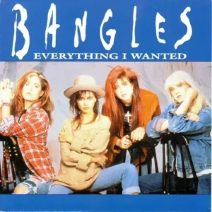 Bangles - Everything I wanted (nur Cover)