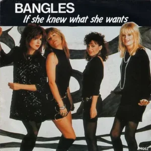 Bangles - If she knew what she wants (nur Cover-NL)