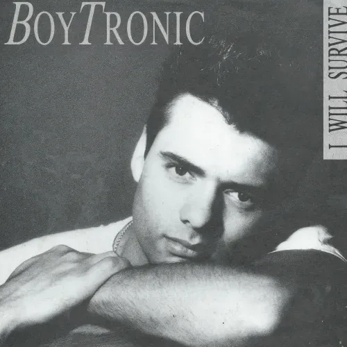 Boytronic - I will survive (nur Cover)