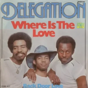 Delegation - Where is the love (nur Cover)