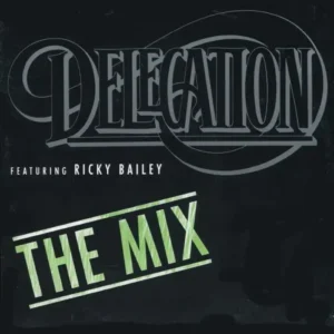 Delegation - The Mix (nur Cover)