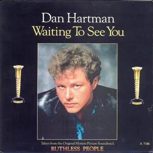 Hartman Dan - Waiting to see you (nur Cover-NL)