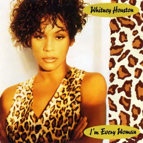 Houston Whitney - I'm every woman (nur Cover)