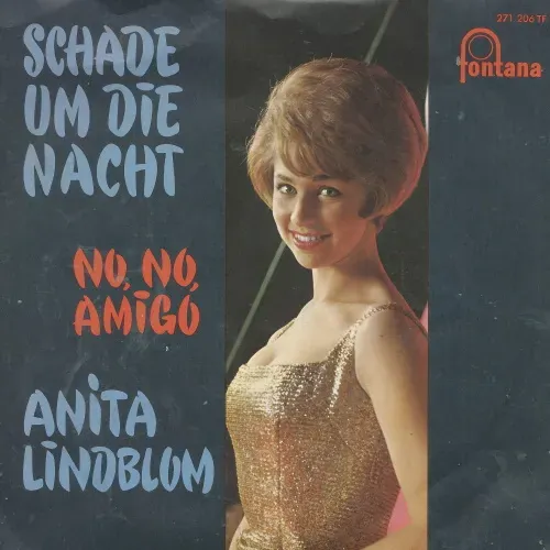 Lindblom Anita - Schade um die Nacht