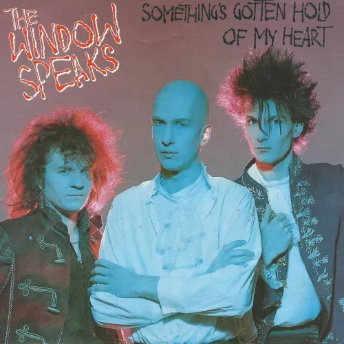 Window Speaks - Something's gotten hold of my heart (nur Cover)