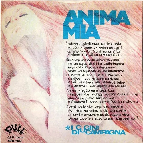 I Cugini di Campagna - Anima mia (nur Cover-IT)