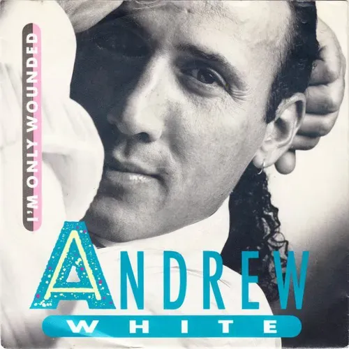 White Andrew - I'm only wounded (nur Cover)