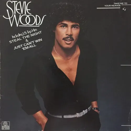 Woods Stevie - Take me to your heaven (LP)